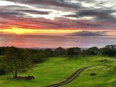 Scenic grounds and trails on the 7-acre property in Kula, Maui